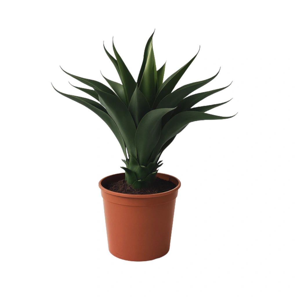 Artificial Agave in Pot