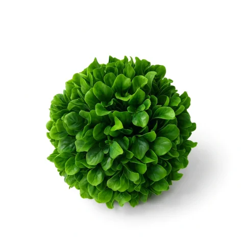 Artificial Boxwood Ball - Decorative Sphere