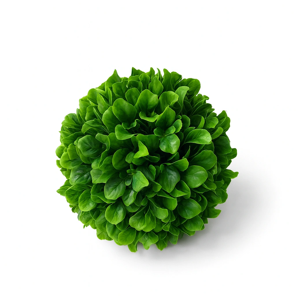 Artificial Boxwood Ball - Decorative Sphere