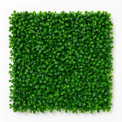 Artificial Boxwood Green Wall Panel for Indoor and Outdoor Decor