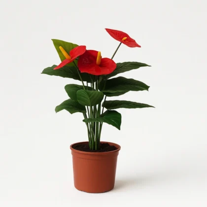 Artificial Red Anthurium - Anthurium Series