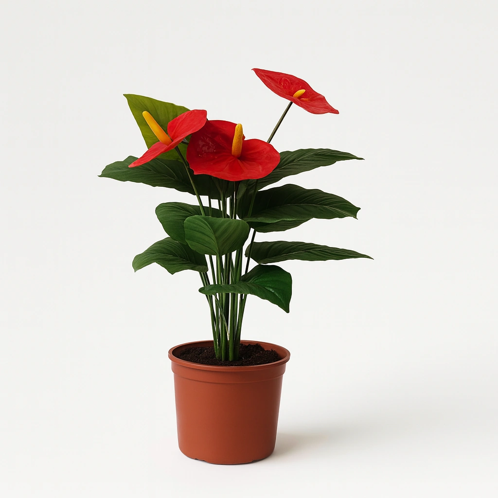 Artificial Red Anthurium - Anthurium Series