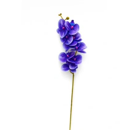 Blue Orchid Stem