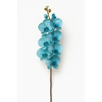 Blue Orchid Stem