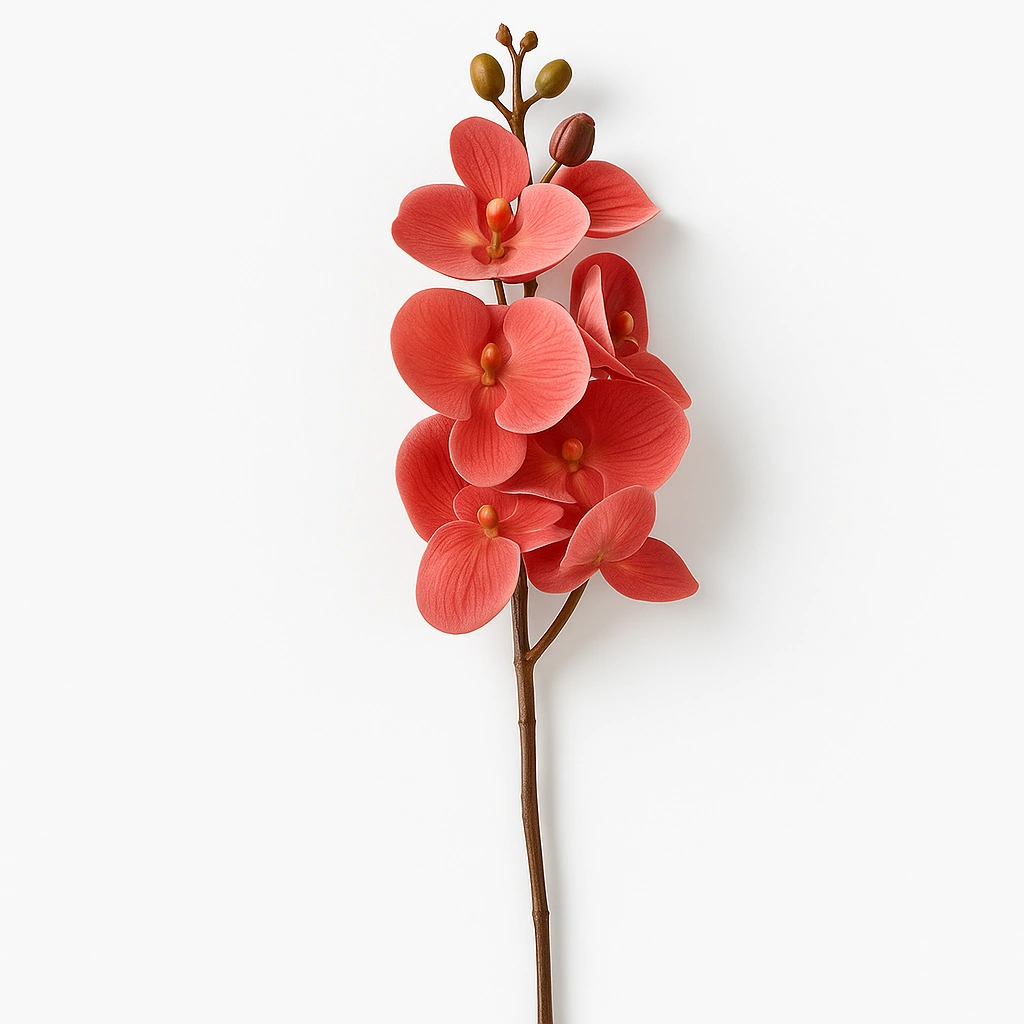 Coral Pink Orchid Stem