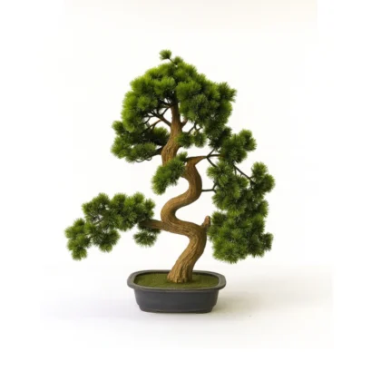 Curved-Trunk Bonsai in Ceramic Pot