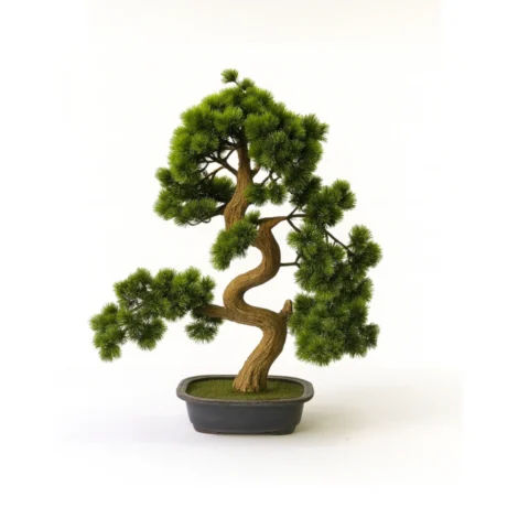 Curved-Trunk Bonsai in Ceramic Pot