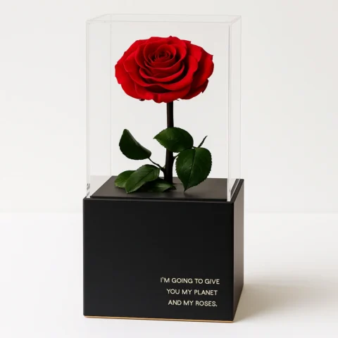 Eternal Roses - Preserved Collection