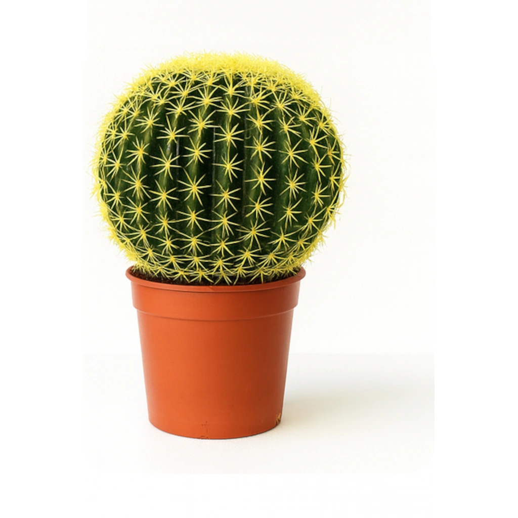 Artificial Barrel Cactus in Pot for Modern Interiors
