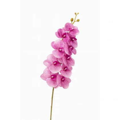Light Pink Orchid - Home & Event Decor