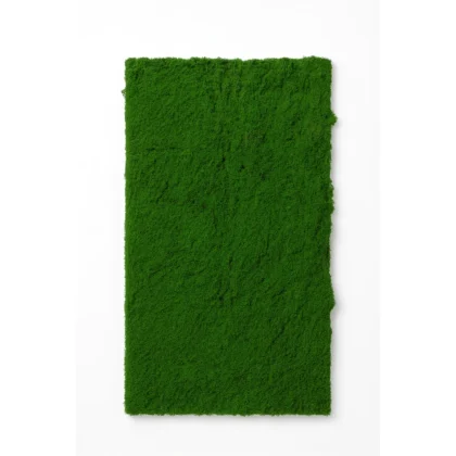 Natural Preserved Moss Wall Panel for Indoor Decor