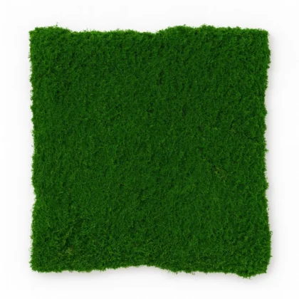 Natural Preserved Moss Wall Panel for Interior Decor