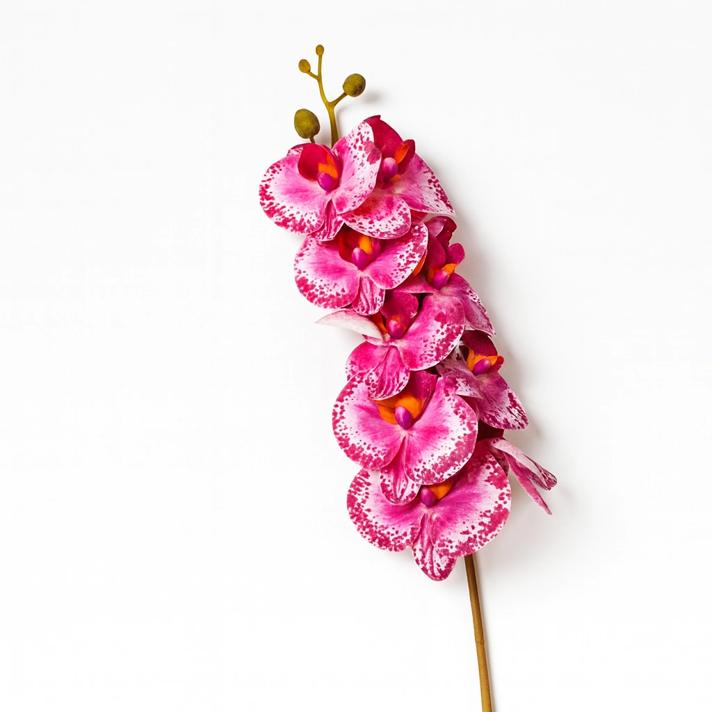 Pink & White Spotted Orchid Stem