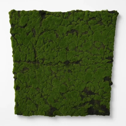 Preserved Natural Moss Wall Panel for Modern Interior Decor