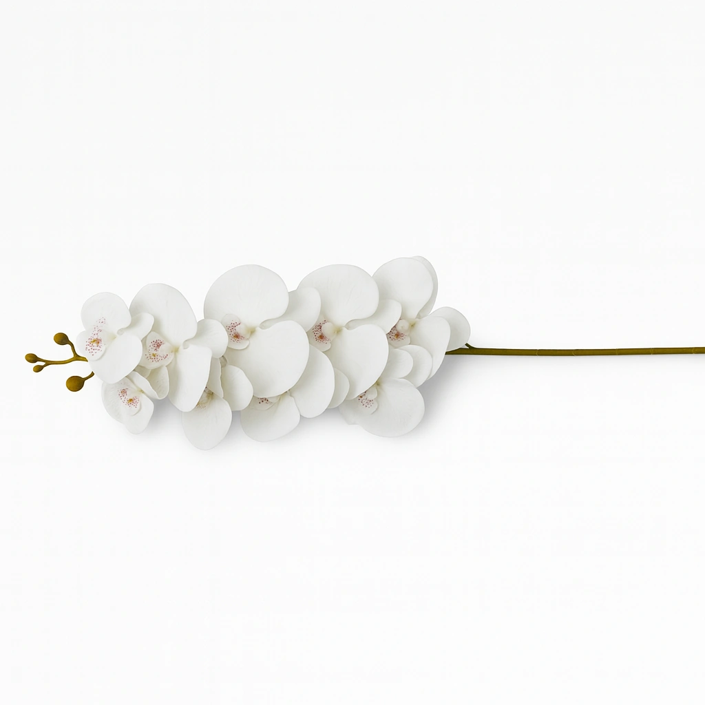 White Orchid Stem