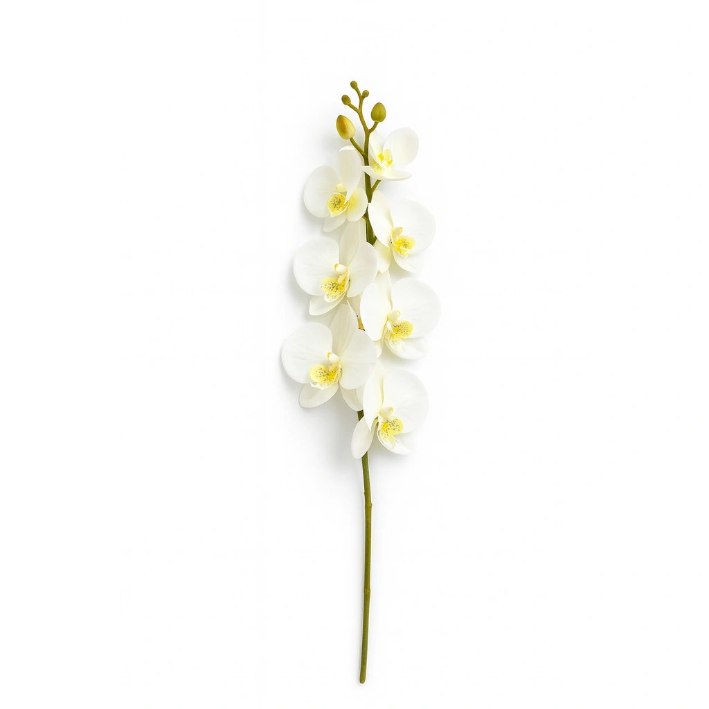White & Yellow Orchid Stem