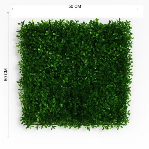 Artificial Boxwood Green Wall Panel for Indoor and Outdoor Decoration