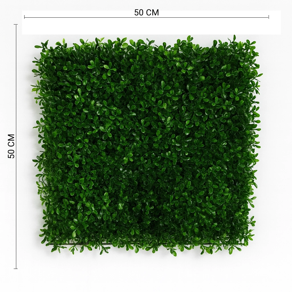 Artificial Boxwood Green Wall Panel for Indoor and Outdoor Decoration