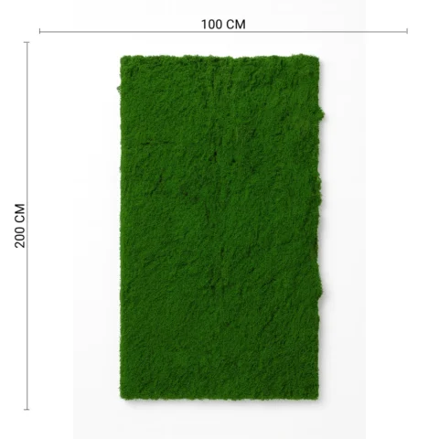 Natural Preserved Moss Wall Panel for Indoor Decor