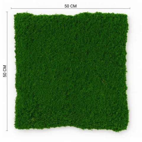 Natural Preserved Moss Wall Panel for Interior Decor