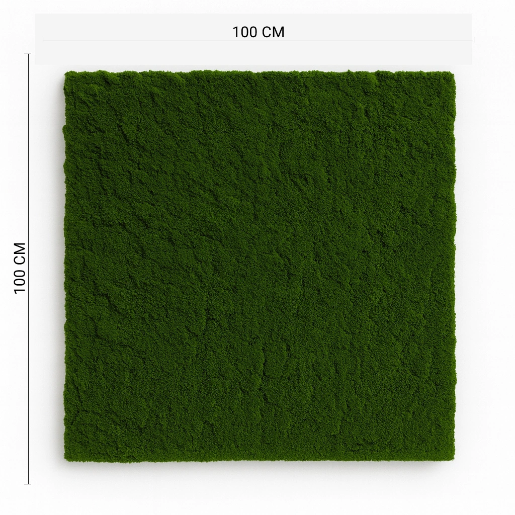 Natural Preserved Moss Wall Panel for Luxury Interior Decor