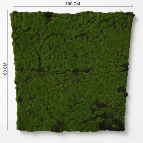 preserved-natural-moss-wall-panel-for-modern-interior-decor