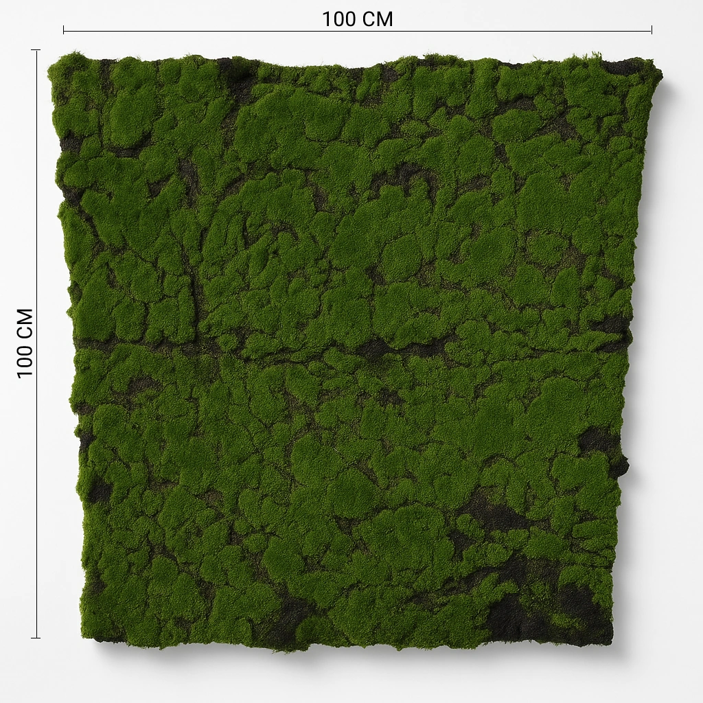 Preserved Natural Moss Wall Panel for Modern Interior Decor