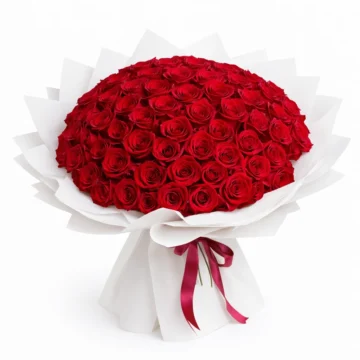 Red In Motion (100 Roses)