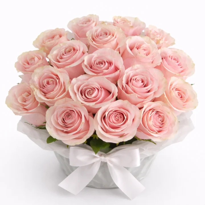 Lipstick Bloom (15 Roses)