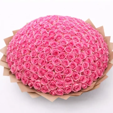 Secret Affair (250 Roses)