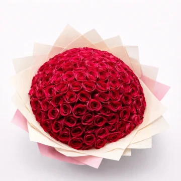 Soft Promise (100 Roses)