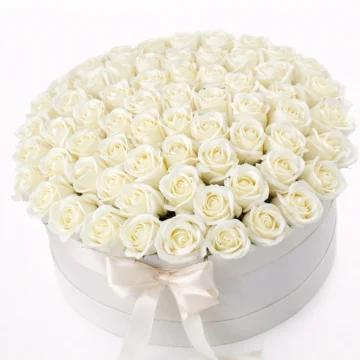 Peace & Love Box (100 Roses)
