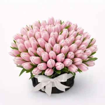 Blush Riot (60 Tulip)