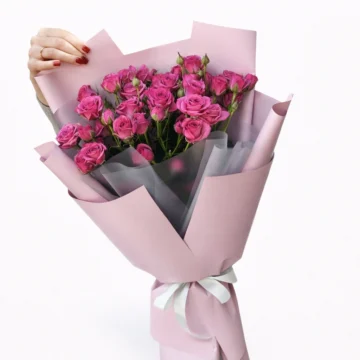 Elegant Bloom(12 Roses)