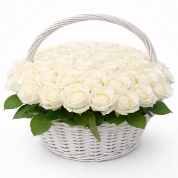 Petal Tempt (50 Roses)