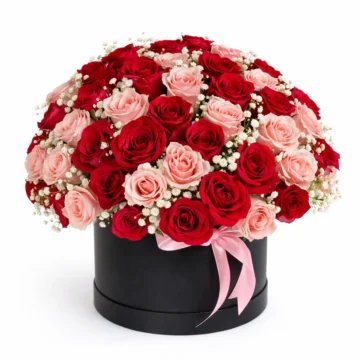 Rose Symphony (80 Roses)