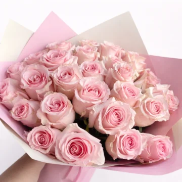 Quiet Bloom (24 Roses)