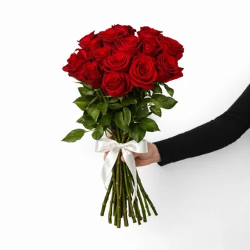 Rosy Dreams (12 Roses)