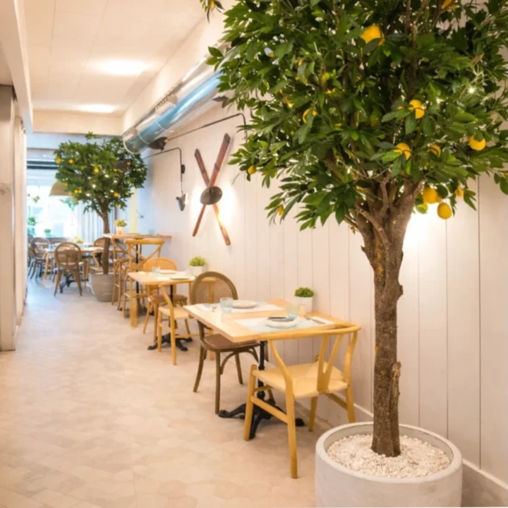 Artificial Lemon Tree Collection - Image 3