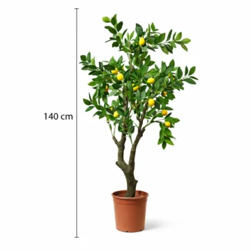 Artificial Lemon Tree Collection