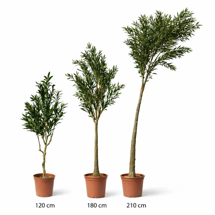 Artificial Olive Tree Collection - Image 2