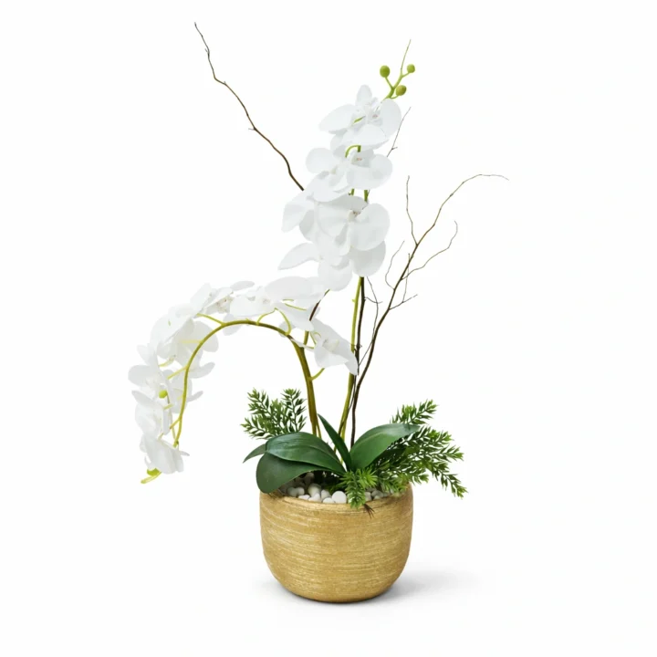 Elegant White Phalaenopsis Orchid in Natural Stone Pot