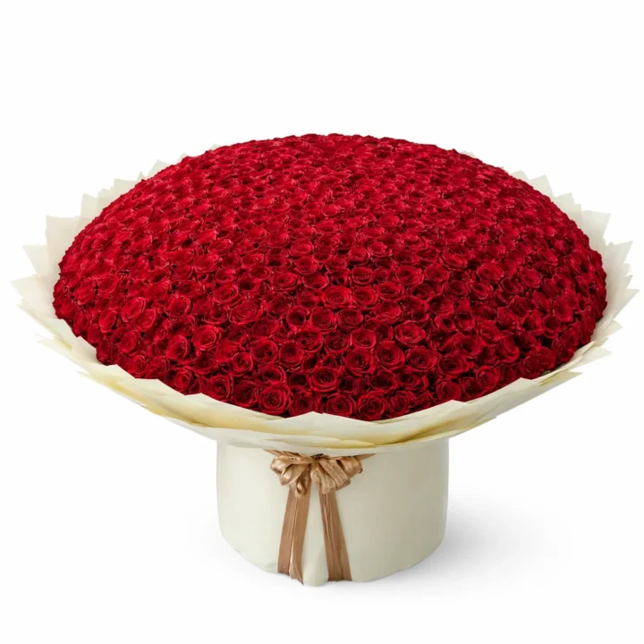Forever Red - 500 Roses
