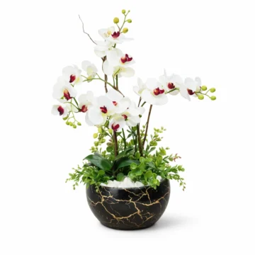 Luxury White Phalaenopsis Orchid in Black Marble Pot