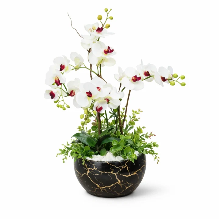 Luxury White Phalaenopsis Orchid in Black Marble Pot