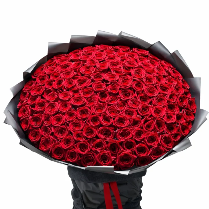 Red Velvet - 300 Roses