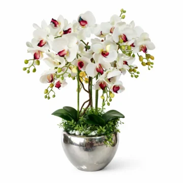 White Phalaenopsis Orchid in Silver Pot