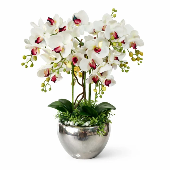 White Phalaenopsis Orchid in Silver Pot