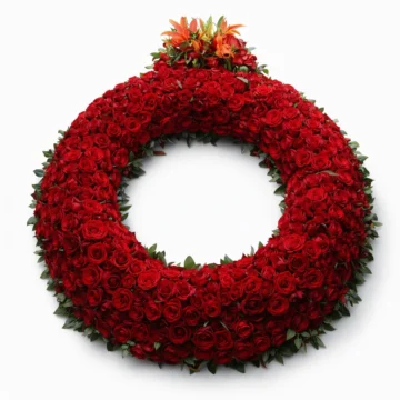 Red Rose Sympathy Wreath (600 Roses )